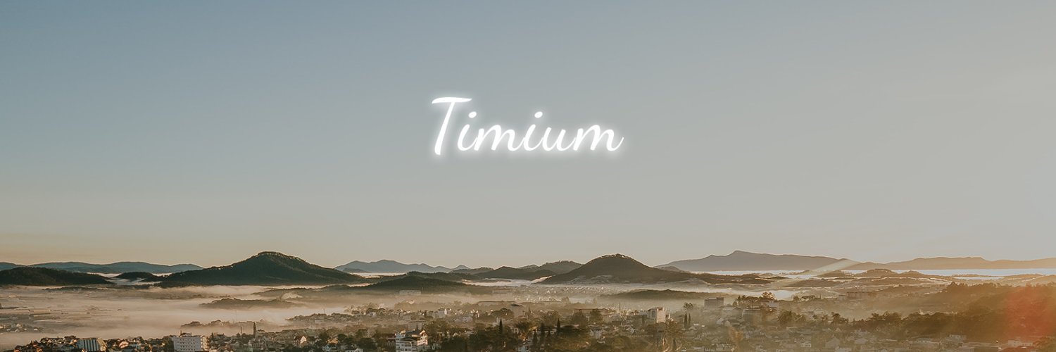 Timium Power banner
