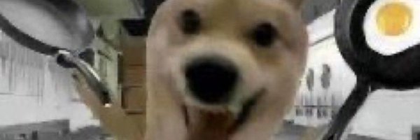 dumpling_bbbb Profile Banner