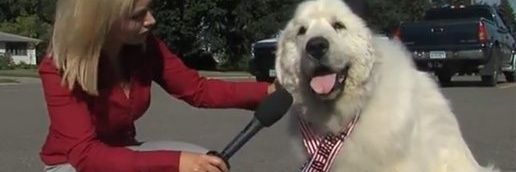 Mayor Emey find me on other platforms 🇺🇲 banner