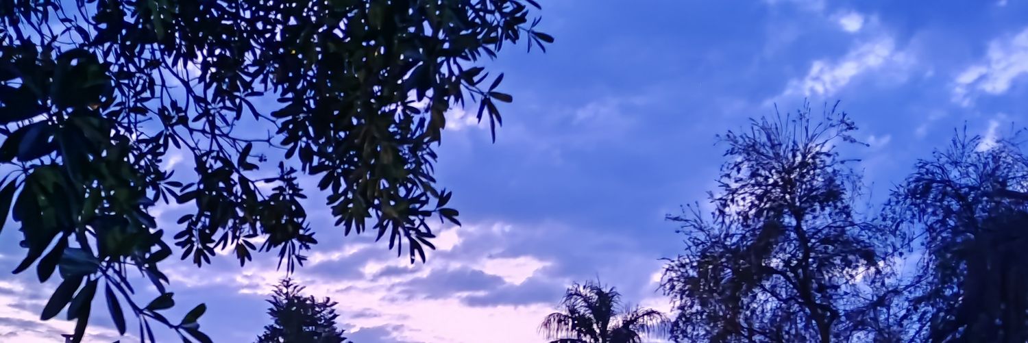 IdkMorr banner