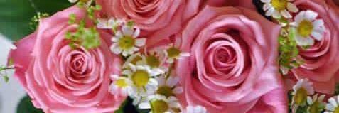 Randa Mohamed banner