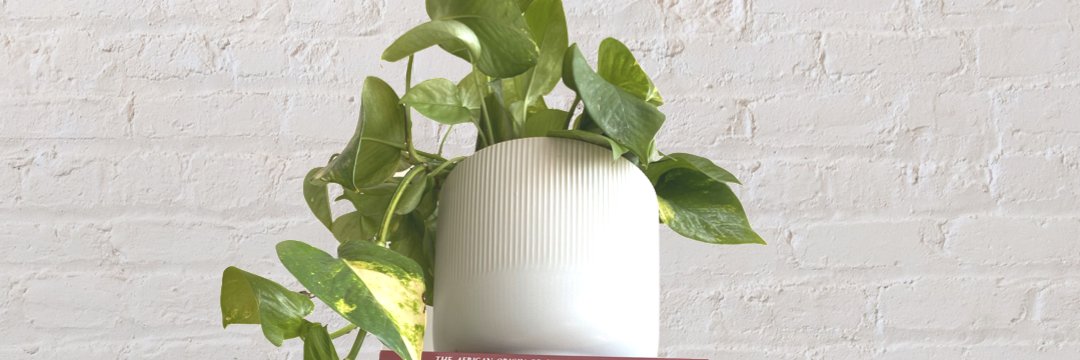 RebuildingTimbuktu banner