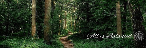 All_Is_Balanced Profile Banner