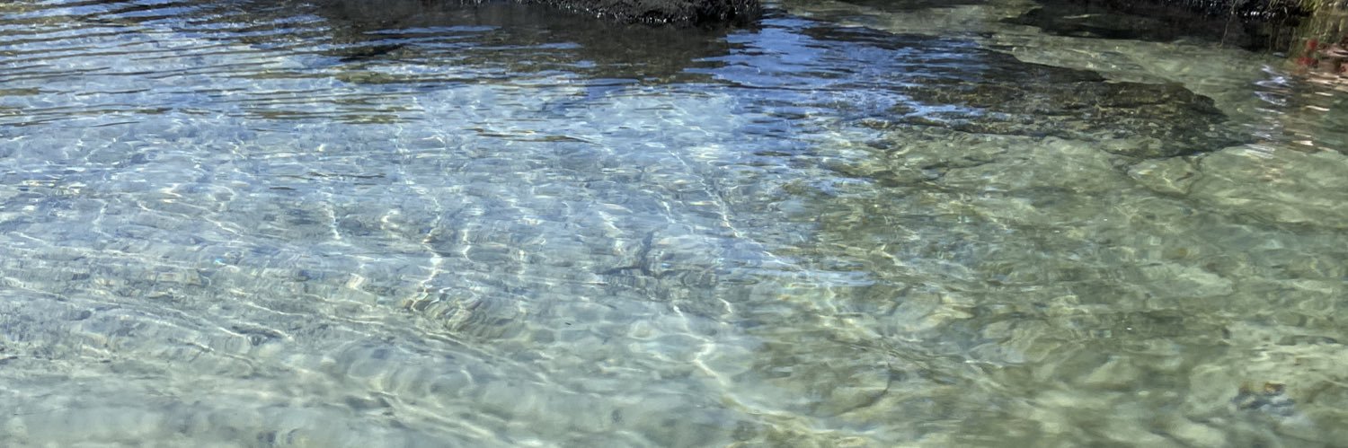 Kay ☀️ 🌴 banner