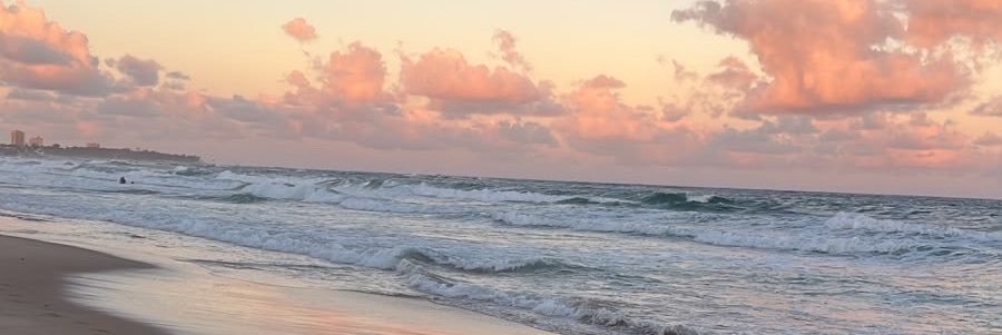 Anjosamine's profile banner image