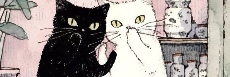 mil sapinnhas banner