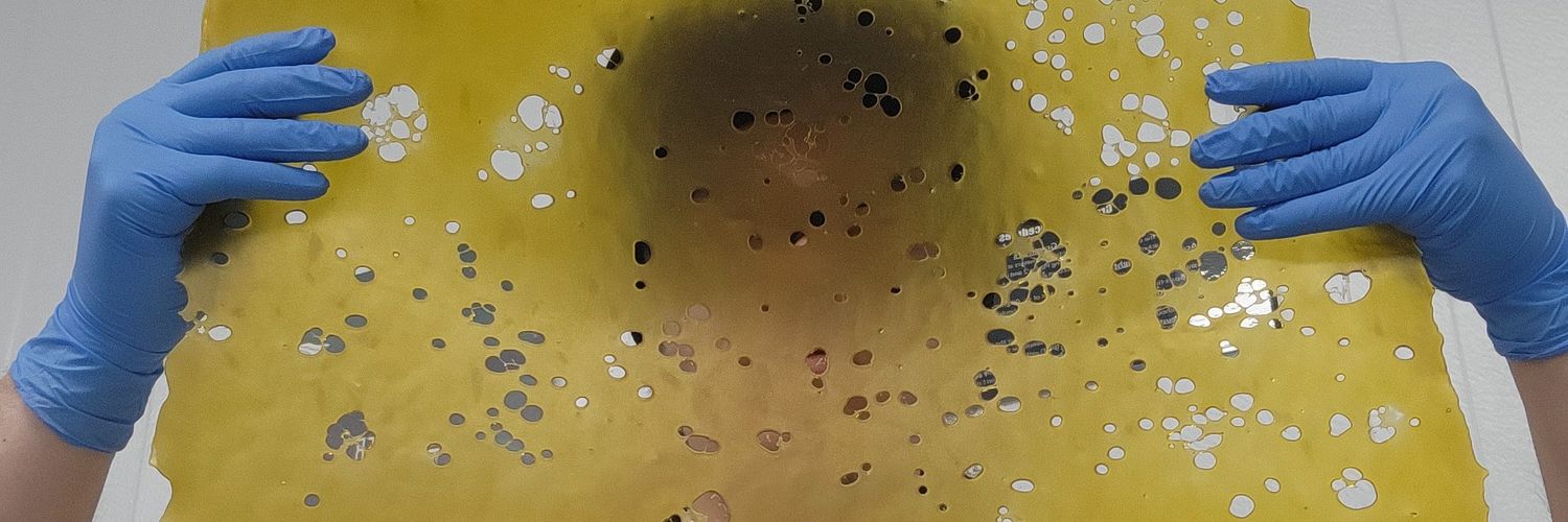JoeDominici1's profile banner image