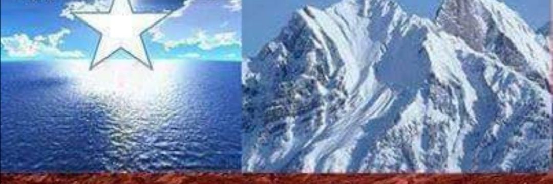 sandra_arauco's profile banner image