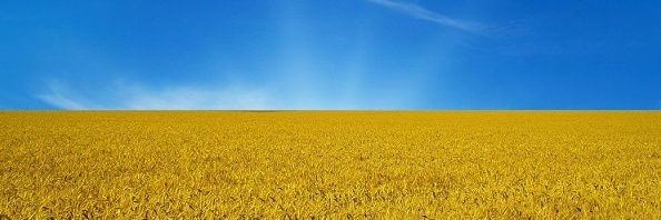 jamesmoss's profile banner image