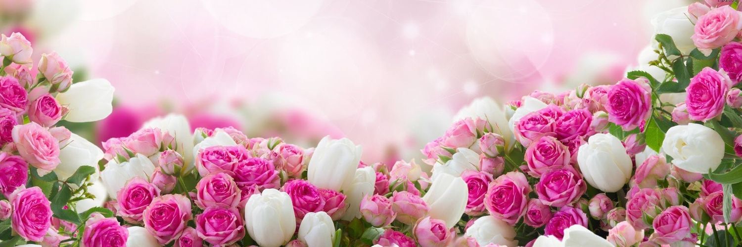 elistatis's profile banner image