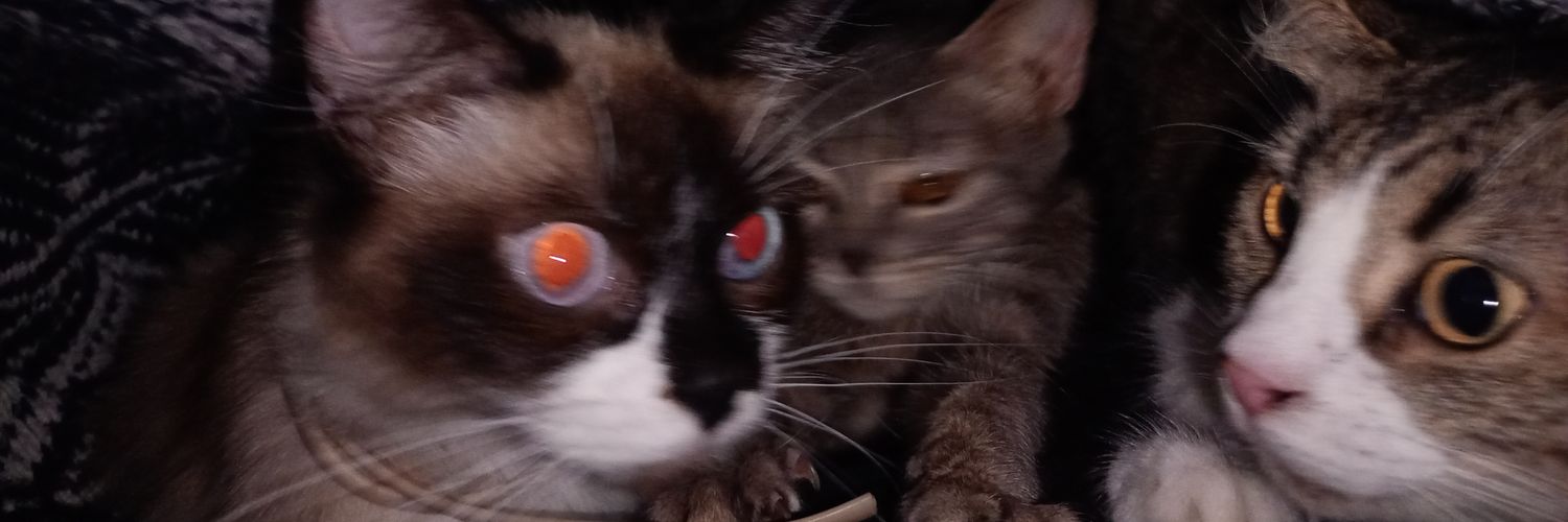 Roberto Trujillo banner