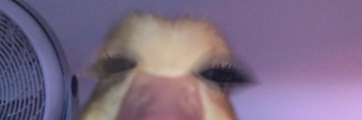 lMnotGOD's profile banner image