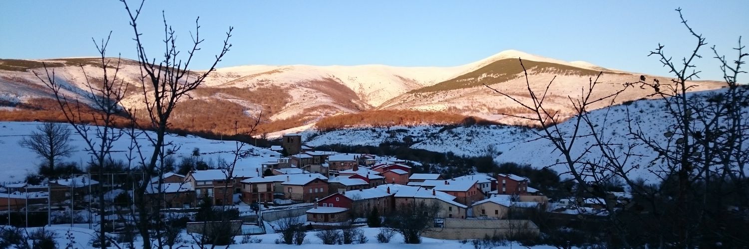 MurielJavi's profile banner image