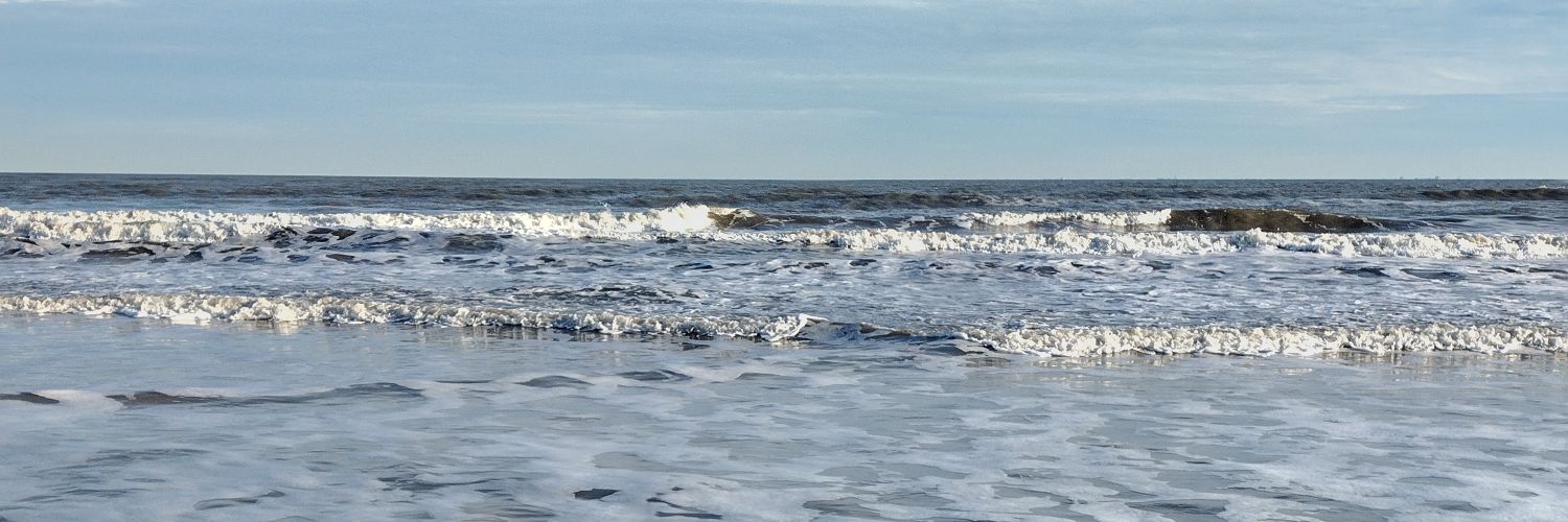 Apple Eater 🍎🍏 banner