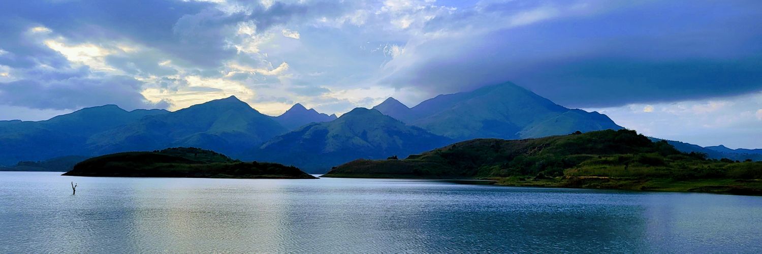 sonyjoy's profile banner image