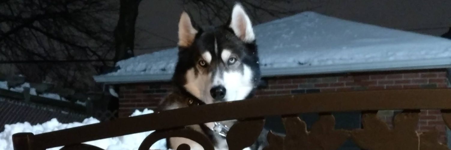 Twilight mike banner