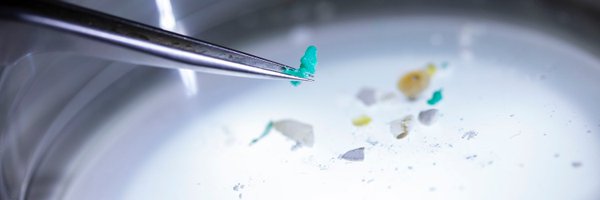 WinnieCJ Profile Banner