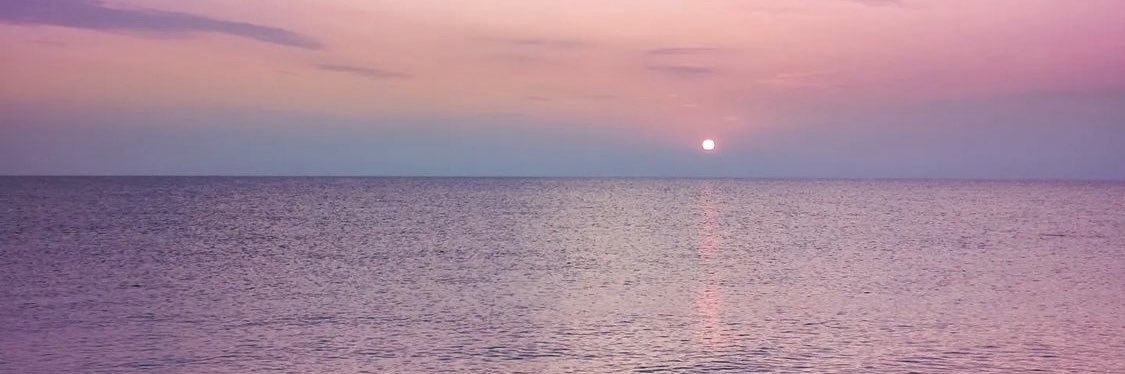 Bella_Walstrom's profile banner image