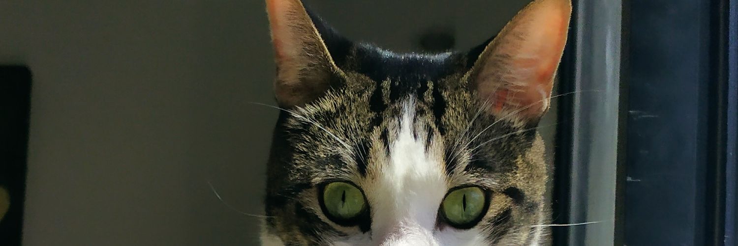 urdanetaysabel's profile banner image