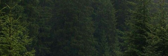 oopsmosis's profile banner image