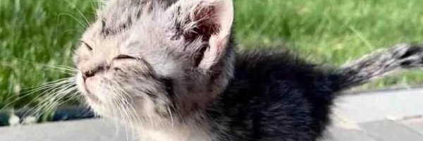 EndtherWith2Es Profile Banner