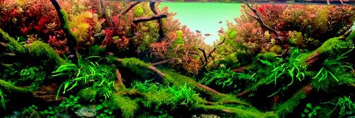 here612's profile banner image