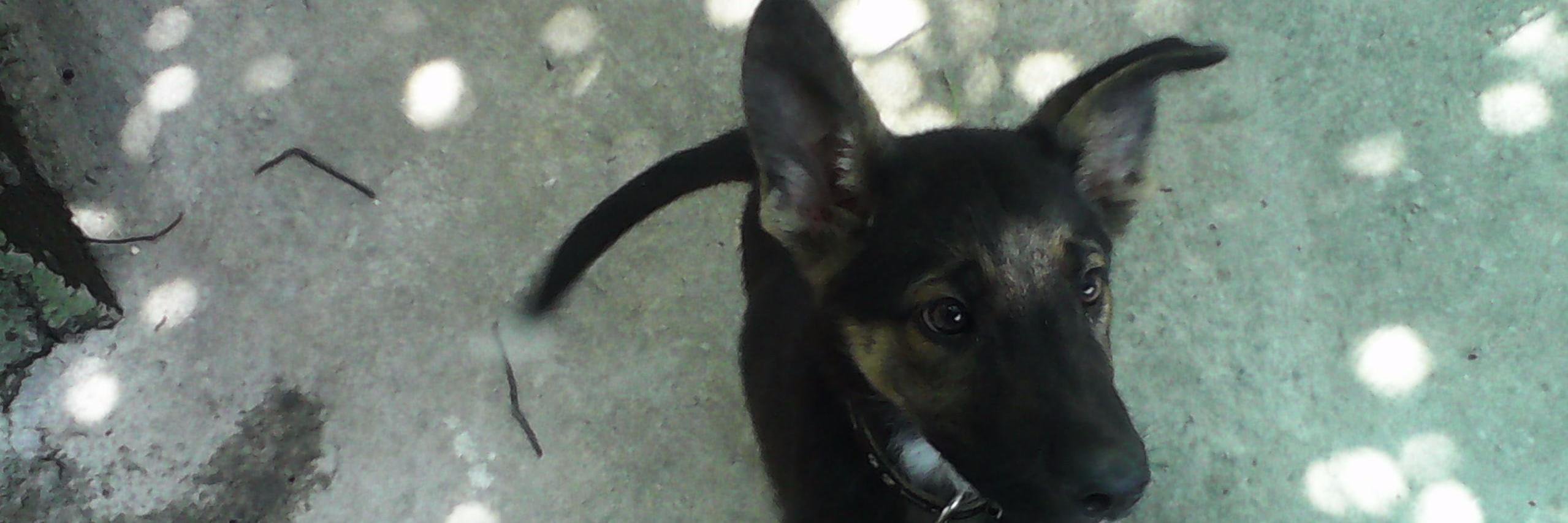 TonyBM_'s profile banner image