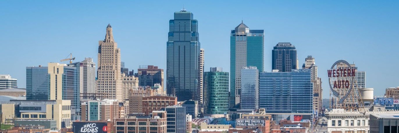 🌐David C. Stearns 🇺🇸 🇺🇦 banner