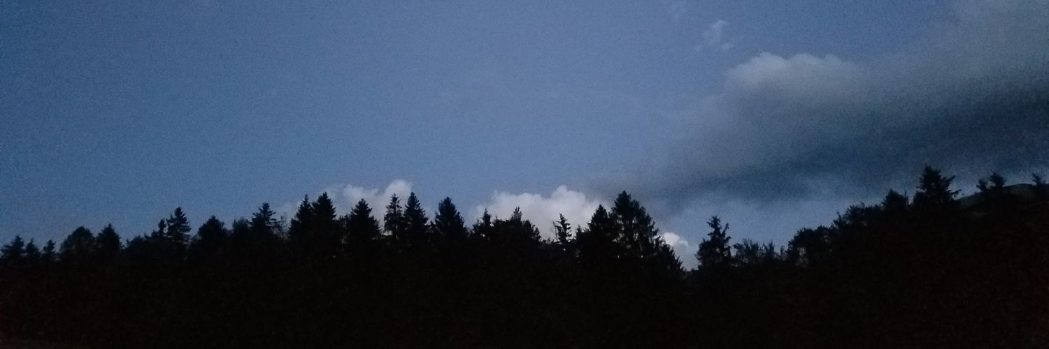 hwillins's profile banner image