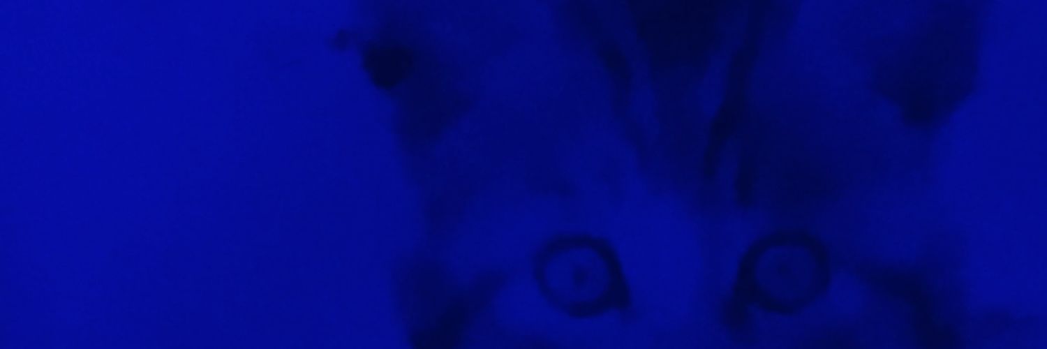 cexi444's profile banner image