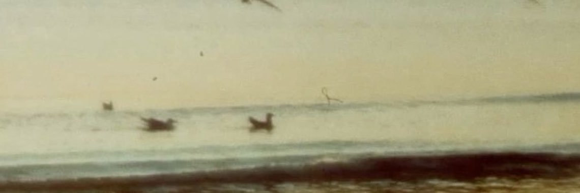 jen ❀ banner
