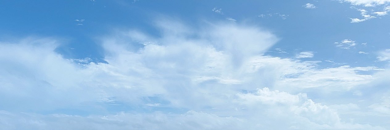 ria banner