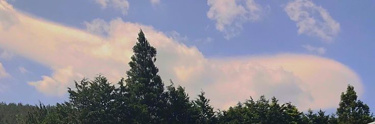 nnin_nn's profile banner image