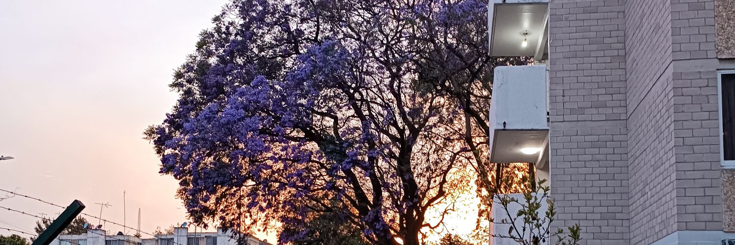 Corisauria's profile banner image