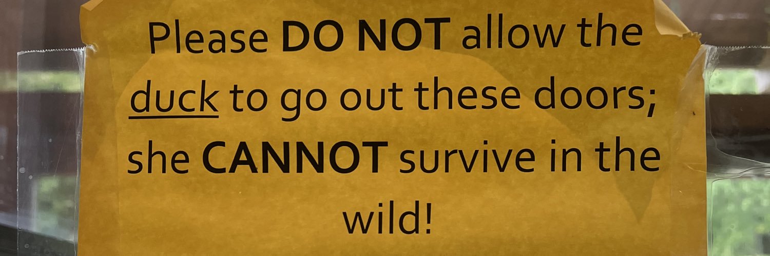 Olivia Williamson banner