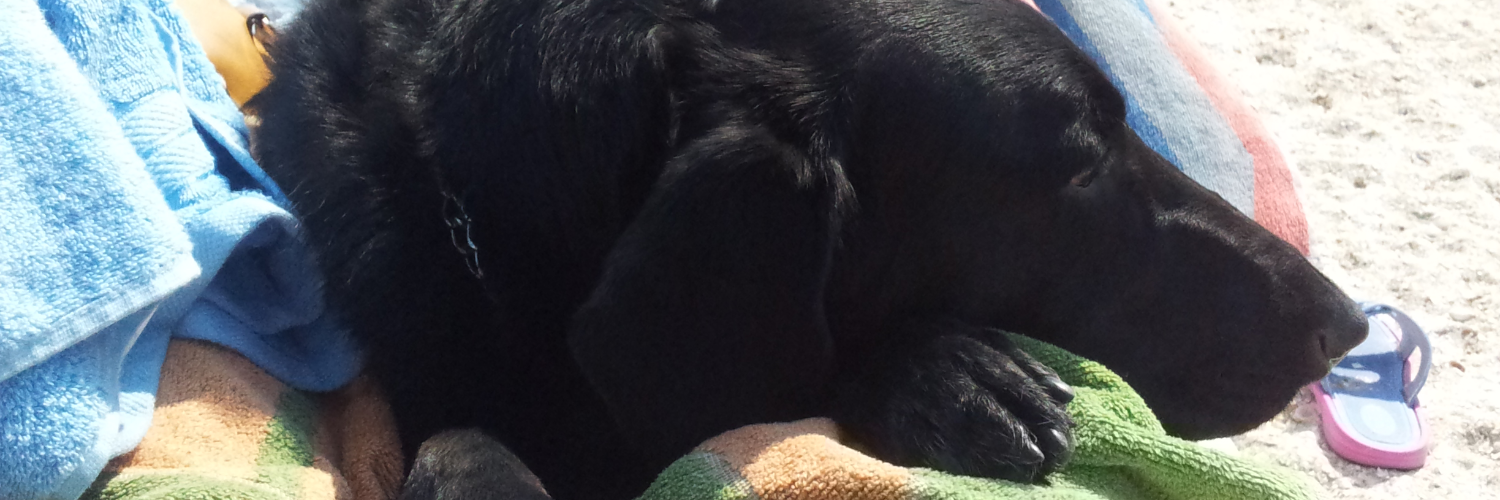 Alexandru Bucur banner