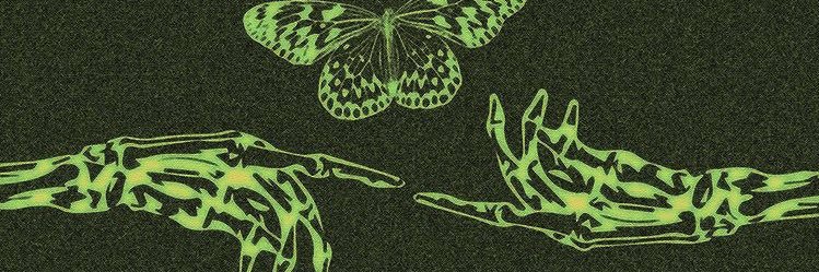 bande_de_chevre's profile banner image