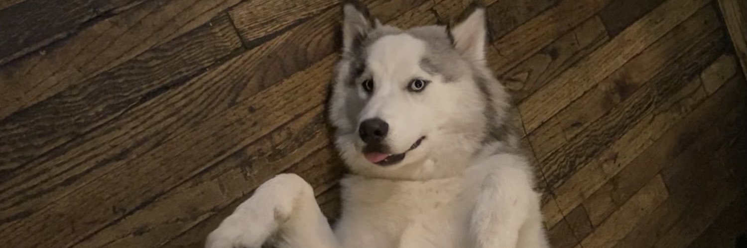 marflo10's profile banner image