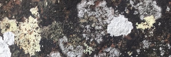 CDRC_MQ Profile Banner