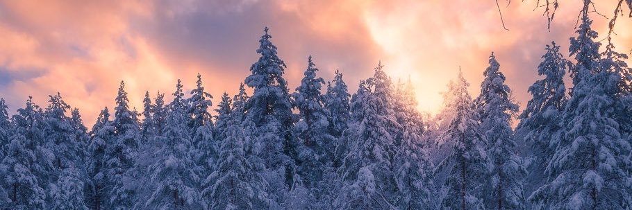 Katey_Witt's profile banner image