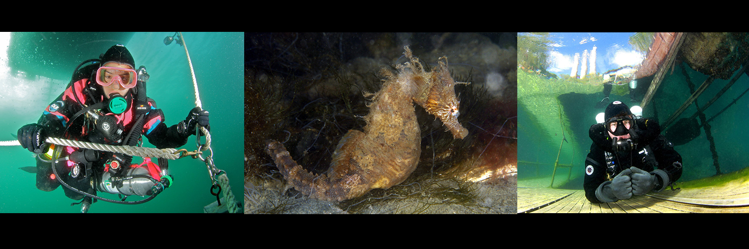 bigappledivers banner