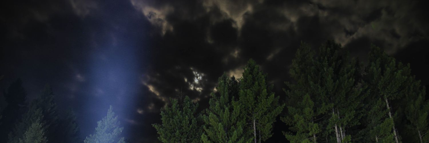 frshuja's profile banner image