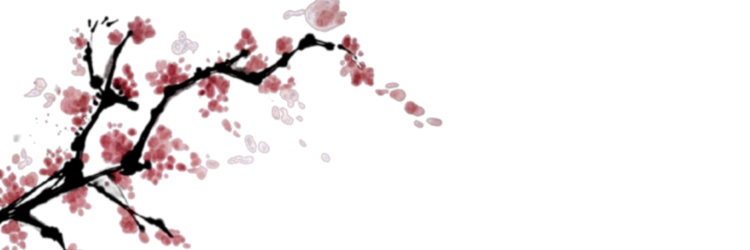 pcisonouspast's profile banner image