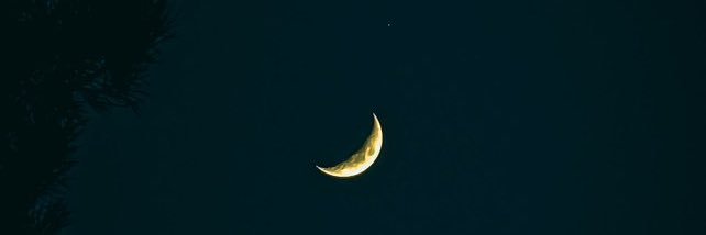 𝑪𝒂𝒑𝒕𝒂𝒊𝒏 𝑩𝒖𝒊 banner