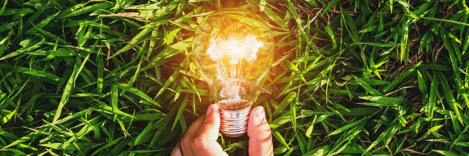 European Chair SD&CT banner