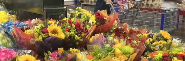 paochis_m Profile Banner