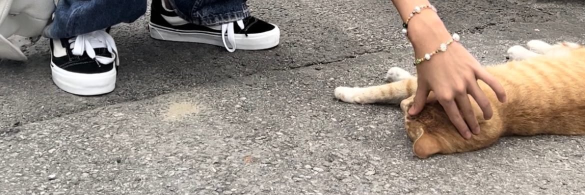 ️️️️️️️️️ ️️️️️️️️️️️eu banner