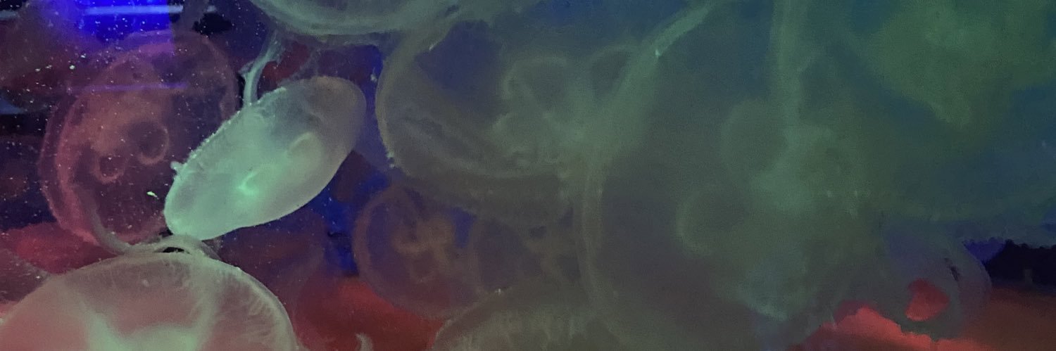 LisaZsarnai's profile banner image