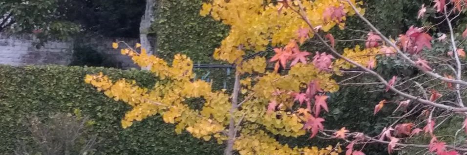 gladbip's profile banner image