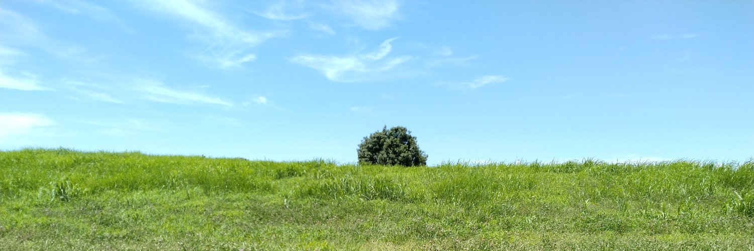 AbbeyAnke's profile banner image
